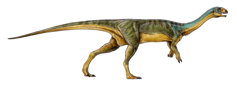 Illustration for article titled They’re Calling This Adorable Creature The ‘Platypus’ Of Dinosaurs
